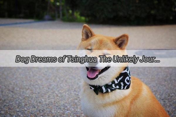 Dog Dreams of Tsinghua The Unlikely Journey of a Pup Seeking Academic Glory